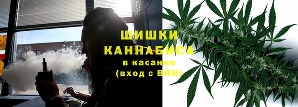 шишки Абаза