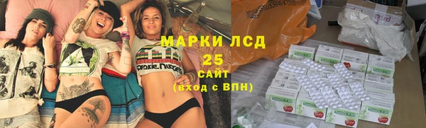 шишки Абаза