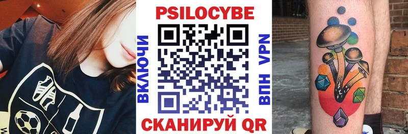 где продают мориарти клад Галлюциногенные грибы Psilocybine cubensis Сафоново